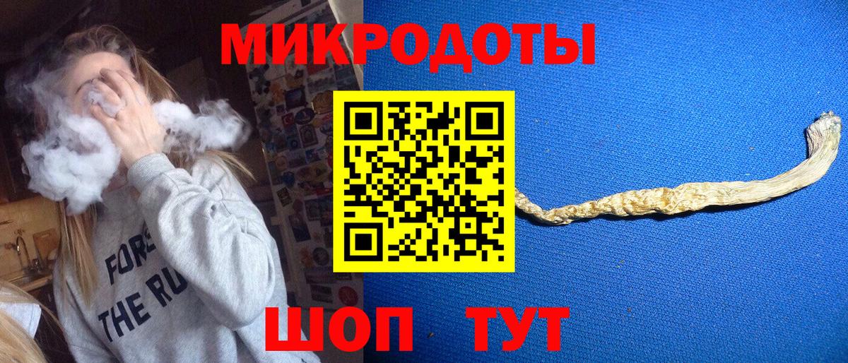 Псилоцибиновые грибы Cubensis Кировск
