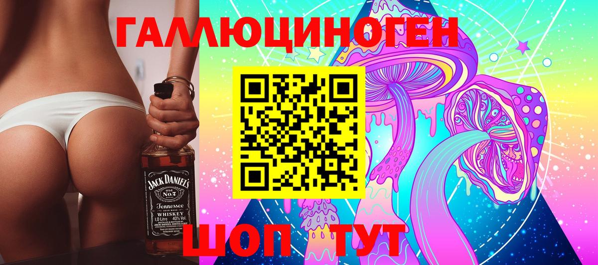 Псилоцибиновые грибы Psilocybe  Вход с VPN  Кировск 